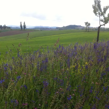 Carletto Cella Monte
