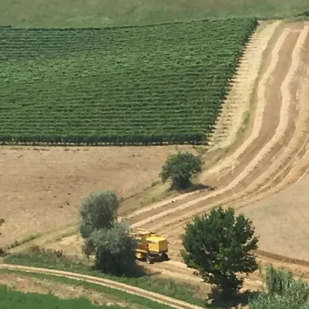 Carletto ベッド・アンド・ブレックファスト