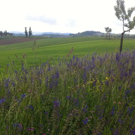 Carletto Bed & Breakfast 3*