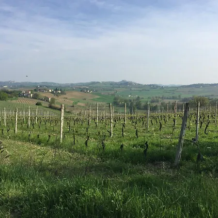 Carletto Bed & Breakfast 3*