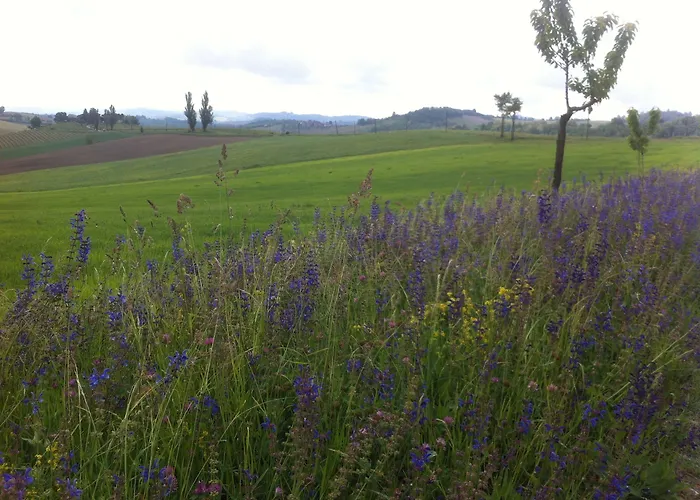 Carletto Cella Monte